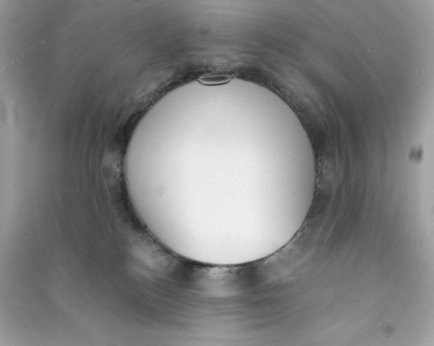 X0000090740184200708101710