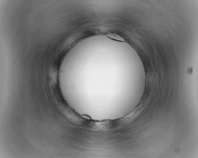 X0000090740188200708101710