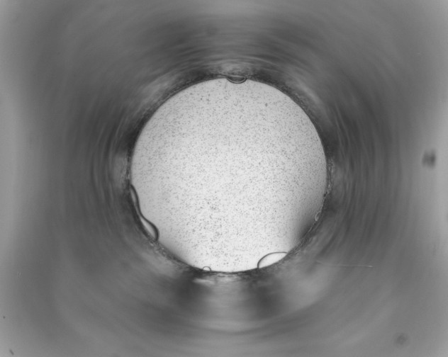 X0000090740189200708101710