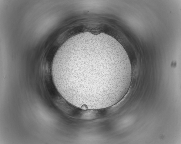 X0000090740191200708101711