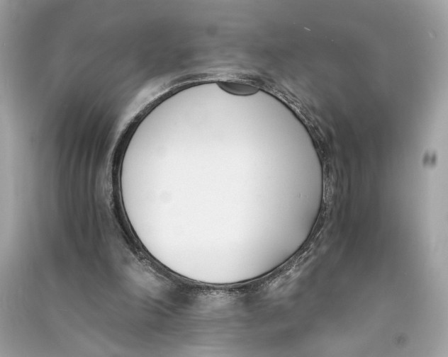 X0000090740198200708101710