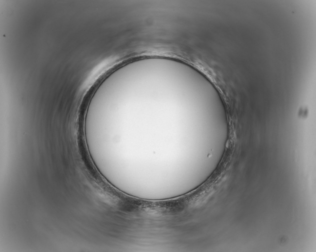 X0000090740199200708101710