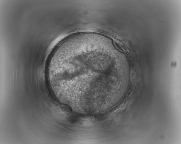 X0000090740200200708101710