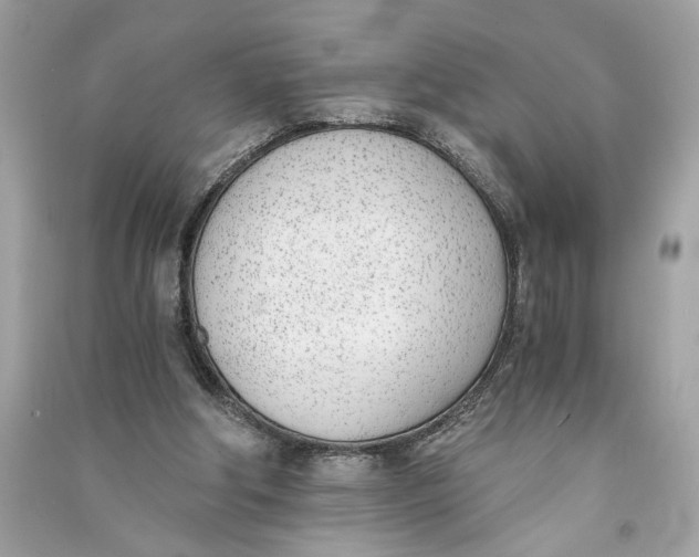 X0000090740202200708101710