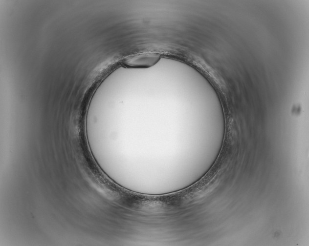 X0000090740203200708101710