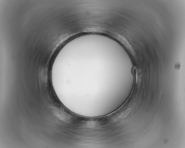 X0000090740204200708101710