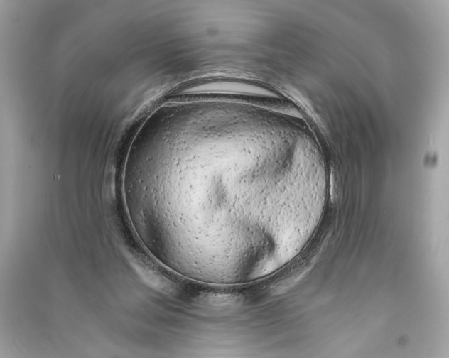 X0000090740205200708101710