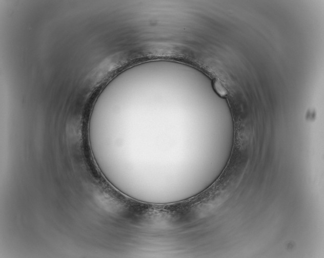 X0000090740207200708101710