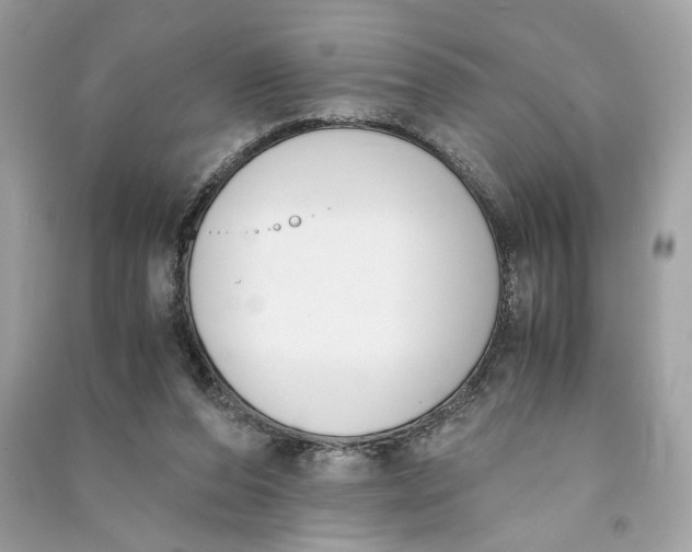 X0000090740208200708101710