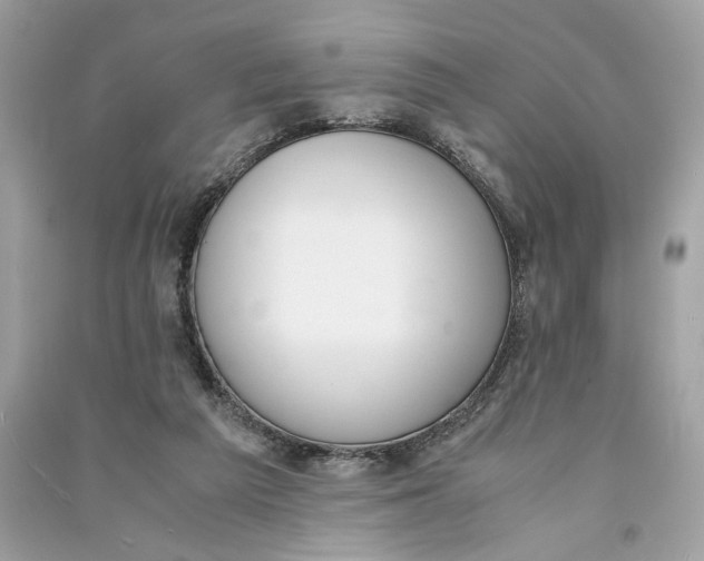 X0000090740209200708101710