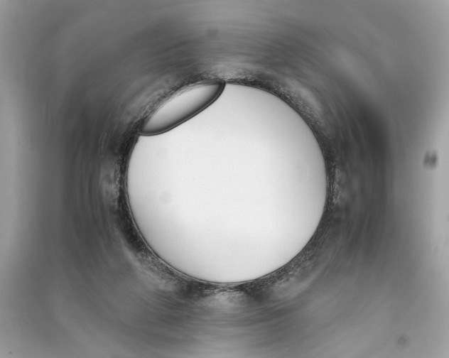 X0000090740210200708101710