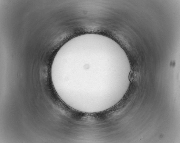 X0000090740211200708101710