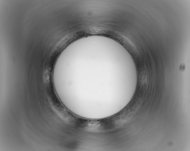 X0000090740214200708101710