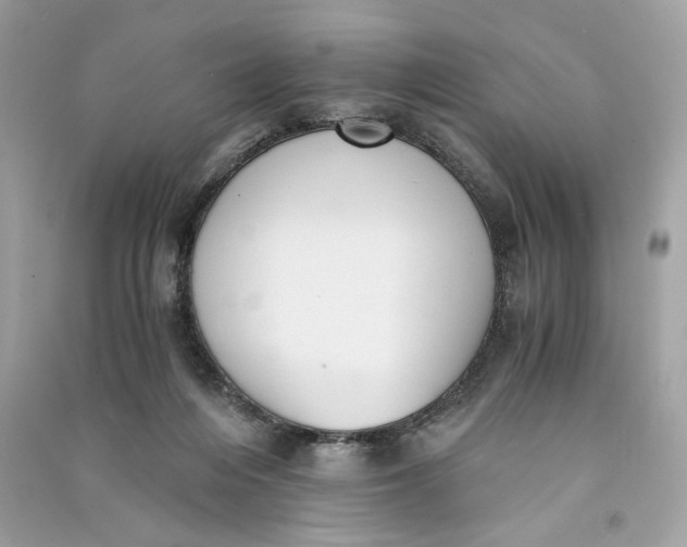 X0000090740216200708101710