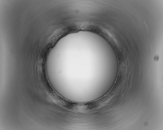 X0000090740217200708101710