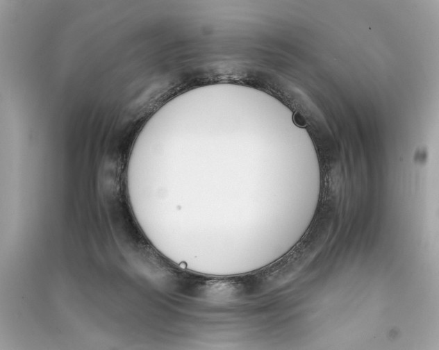 X0000090740218200708101710