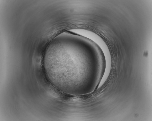 X0000090740219200708101709