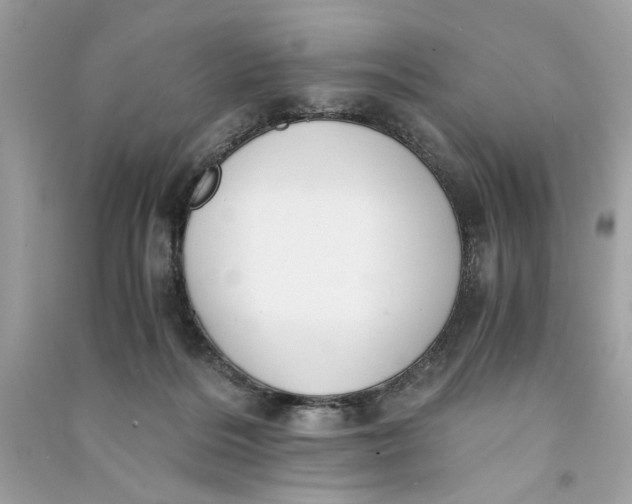 X0000090740220200708101709