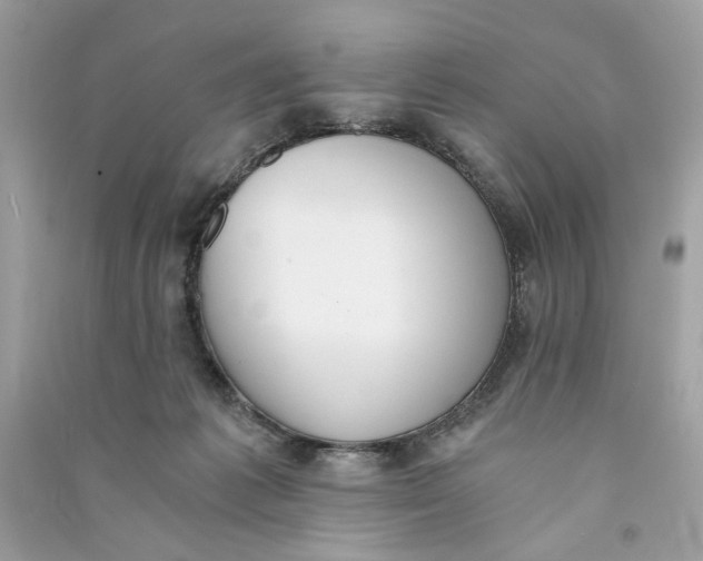 X0000090740221200708101709