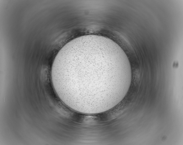 X0000090740222200708101709