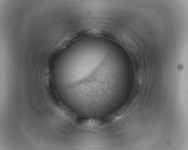 X0000090740223200708101709