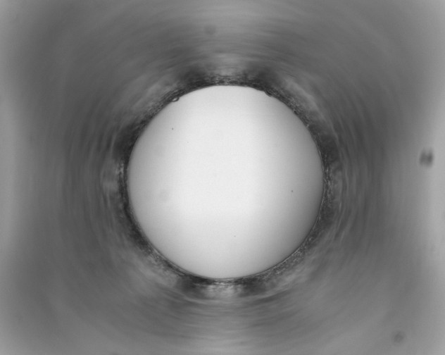 X0000090740225200708101709