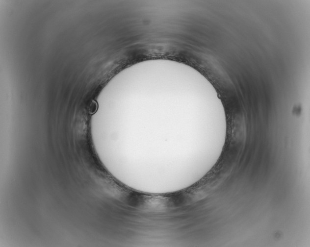 X0000090740226200708101709