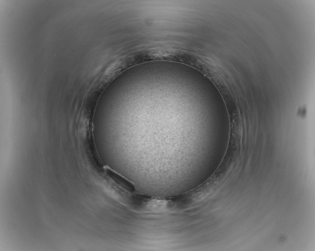 X0000090740227200708101709