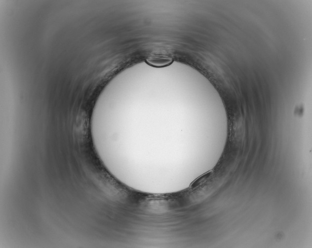 X0000090740228200708101709