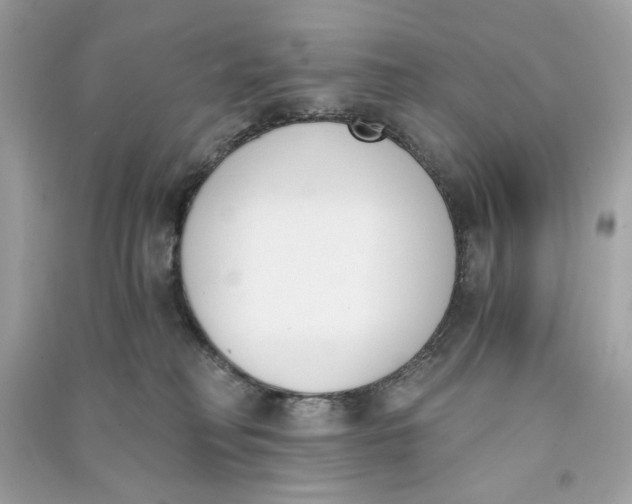 X0000090740230200708101709