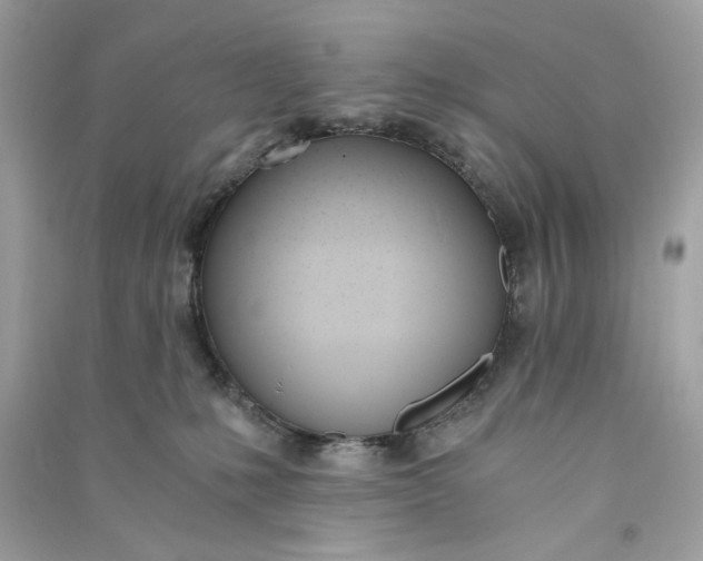 X0000090740231200708101709