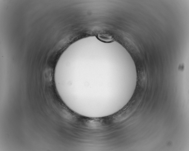 X0000090740232200708101709