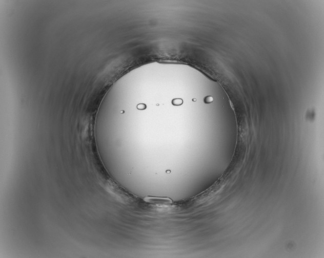 X0000090740233200708101709