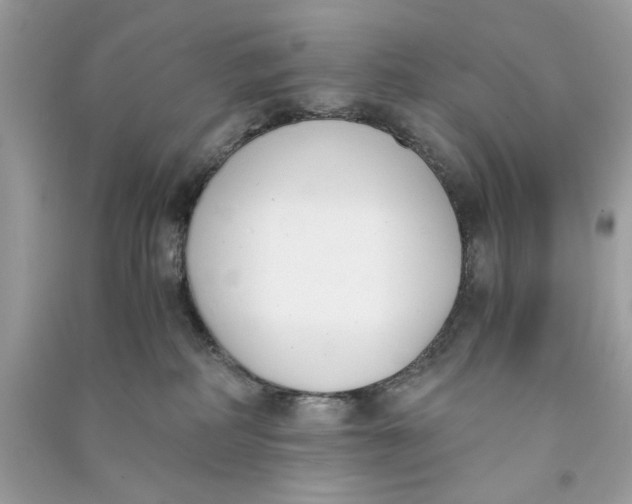 X0000090740234200708101709