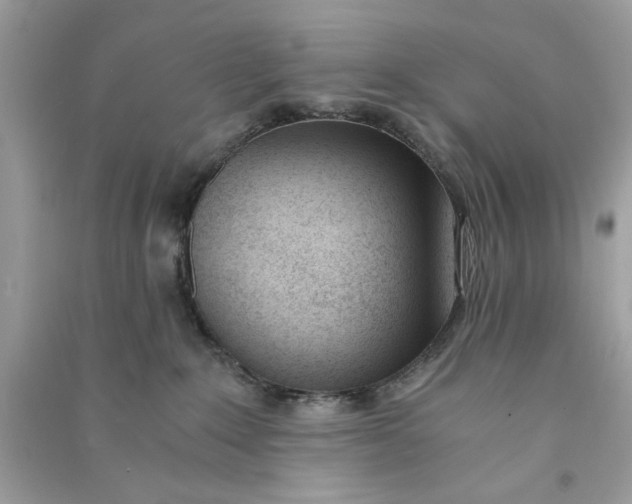 X0000090740235200708101709