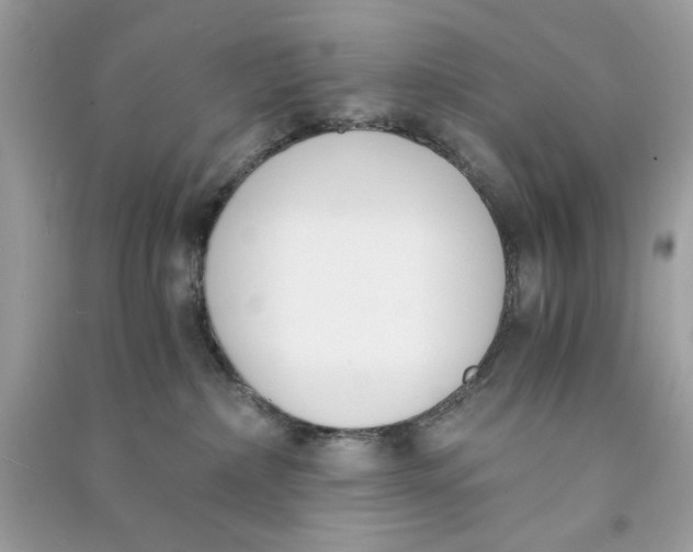 X0000090740236200708101709