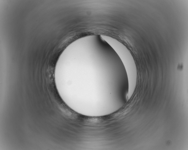 X0000090740237200708101709