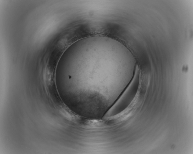 X0000090740239200708101709