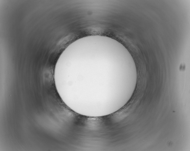 X0000090740240200708101709