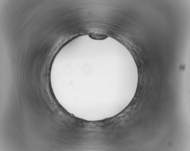 X0000090740241200708101709