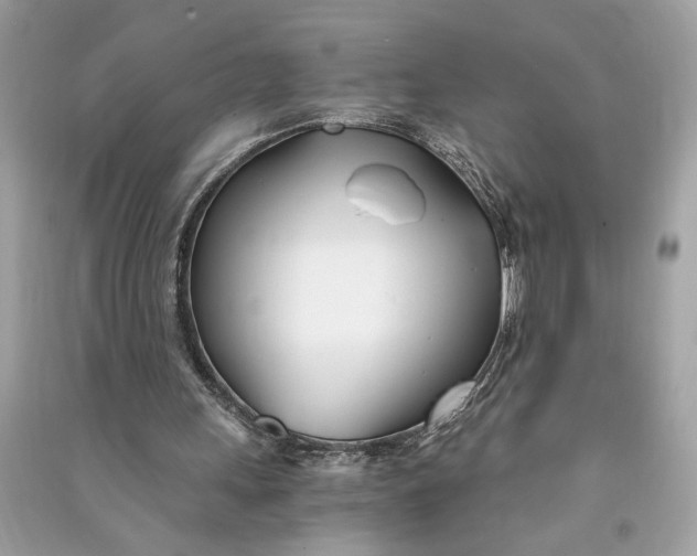 X0000090740243200708101709