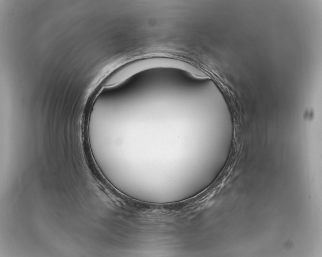 X0000090740244200708101709