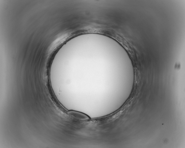 X0000090740245200708101709