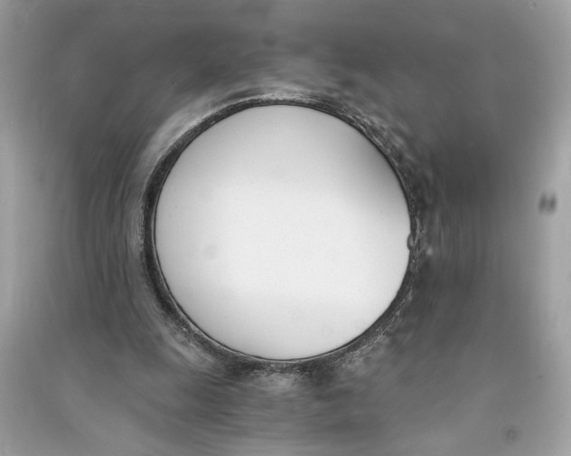 X0000090740247200708101709