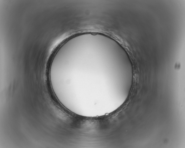 X0000090740248200708101709