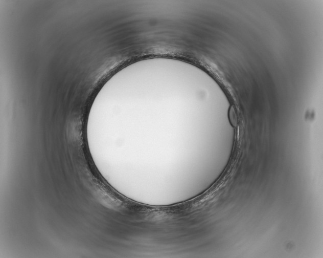 X0000090740249200708101709