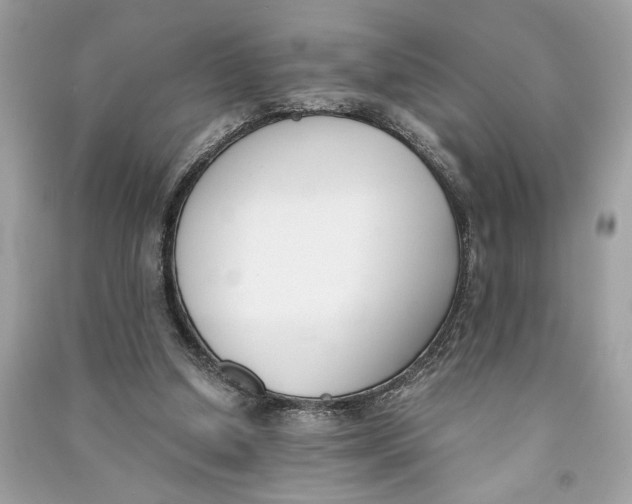 X0000090740250200708101709