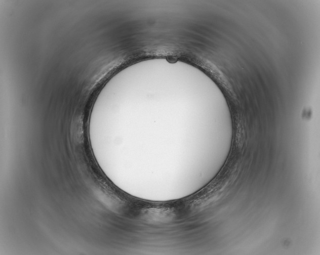 X0000090740251200708101709