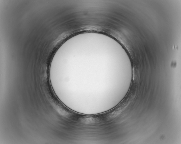 X0000090740253200708101709