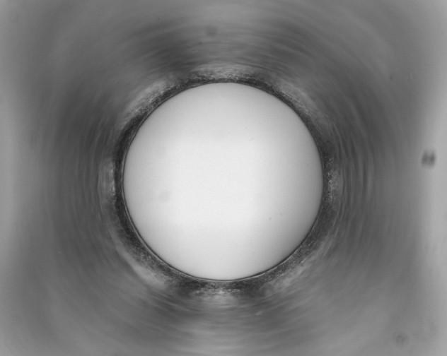 X0000090740254200708101709